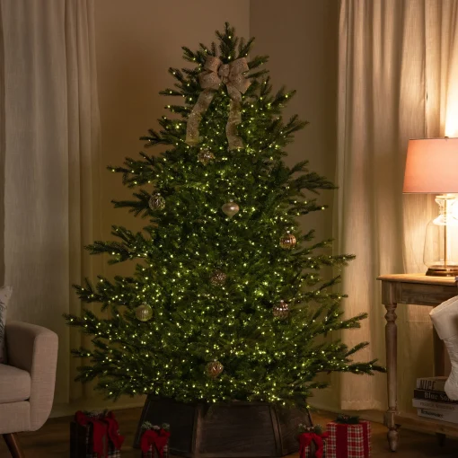 Northlight 6 And 6.5 Feet Tall>6.5' Pre-Lit Full Oregon Noble Fir Artificial Christmas Tree - Warm White Led Lights
