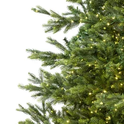 Northlight 6 And 6.5 Feet Tall></noscript>6.5' Pre-Lit Full Oregon Noble Fir Artificial Christmas Tree - Warm White Led Lights