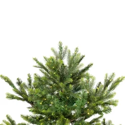 Northlight 6 And 6.5 Feet Tall></noscript>6.5' Pre-Lit Full Oregon Noble Fir Artificial Christmas Tree - Warm White Led Lights