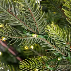 Northlight 6 And 6.5 Feet Tall></noscript>6.5' Pre-Lit Full Oregon Noble Fir Artificial Christmas Tree - Warm White Led Lights