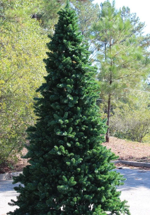 Northlight 15 Feet And Taller>26' Pre-Lit Giant Olympia Pine Commercial Artificial Tower Christmas Tree - Warm White Led Lights