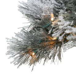 Northlight 4 And 4.5 Feet Tall>4.5' Pre-Lit Led Black Spruce Artificial Christmas Tree - Clear Lights