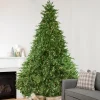Northlight 10 To 14 Feet Tall>12' Pre-Lit Led Instant Connect Minnesota Balsam Fir Artificial Christmas Tree