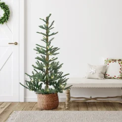 Northlight 4 And 4.5 Feet Tall>4.5' Pre-Lit Led Layered Nordmann Fir Artificial Christmas Tree, Warm Clear Lights