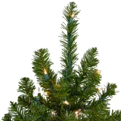 Northlight 5 And 5.5 Feet Tall></noscript>5' Pre-Lit Medium Canadian Pine Artificial Christmas Tree, Clear Lights