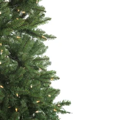 Northlight 6 And 6.5 Feet Tall></noscript>6.5' Pre-Lit Medium Neola Fraser Fir Artificial Christmas Tree - Dual Led Lights