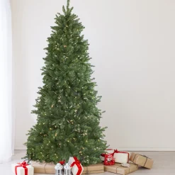 Northlight 6 And 6.5 Feet Tall></noscript>6.5' Pre-Lit Medium Neola Fraser Fir Artificial Christmas Tree - Dual Led Lights