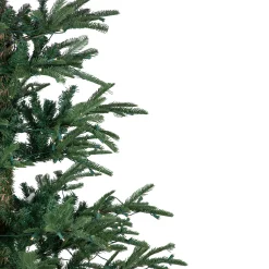Northlight 6 And 6.5 Feet Tall></noscript>6.5' Pre-Lit Nordmann Fir Artificial Christmas Tree, Warm Clear Led Lights