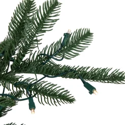 Northlight 6 And 6.5 Feet Tall></noscript>6.5' Pre-Lit Nordmann Fir Artificial Christmas Tree, Warm Clear Led Lights