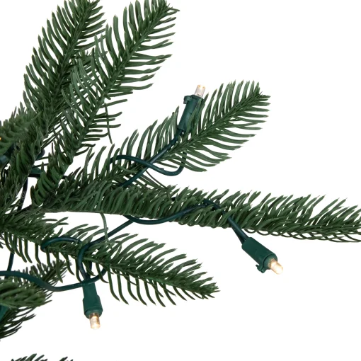 Northlight 6 And 6.5 Feet Tall>6.5' Pre-Lit Nordmann Fir Artificial Christmas Tree, Warm Clear Led Lights