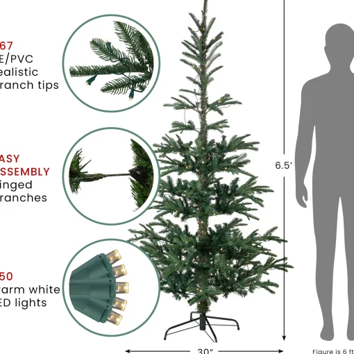 Northlight 6 And 6.5 Feet Tall>6.5' Pre-Lit Nordmann Fir Artificial Christmas Tree, Warm Clear Led Lights