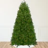 Northlight 10 To 14 Feet Tall>12' Pre-Lit Northern Pine Full Artificial Christmas Tree - Warm Clear Led Lights