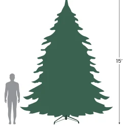 Northlight Pre-Lit Traditional Trees></noscript>15' Pre-Lit Pendleton Spruce Slim Artificial Christmas Tree, Clear Lights