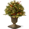 National Tree Company 2.5 Feet Tall And Smaller>2' Pre-Lit Potted Colonial Porch Bush Artificial Christmas Tree, Clear Lights