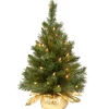 National Tree Company Potted Trees>2' Pre-Lit Potted Majestic Fir Tree Artificial Christmas Tree, Clear Lights
