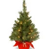 National Tree Company Potted Trees>2' Pre-Lit Potted Majestic Fir Tree Artificial Christmas Tree, Clear Lights