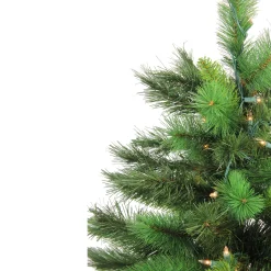 Northlight 3 And 3.5 Feet Tall></noscript>3' Pre-Lit Potted New Carolina Spruce Medium Artificial Christmas Tree - Clear Lights