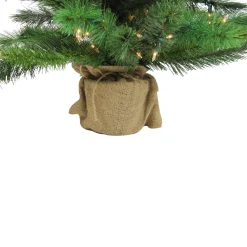 Northlight 3 And 3.5 Feet Tall></noscript>3' Pre-Lit Potted New Carolina Spruce Medium Artificial Christmas Tree - Clear Lights
