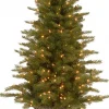 National Tree Company Potted Trees>4' Pre-Lit Potted Nordic Spruce Entrance Artificial Christmas Tree, Clear Lights