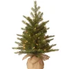 National Tree Company Potted Trees>2' Pre-Lit Potted Nordic Spruce Full Artificial Christmas Tree, White Lights