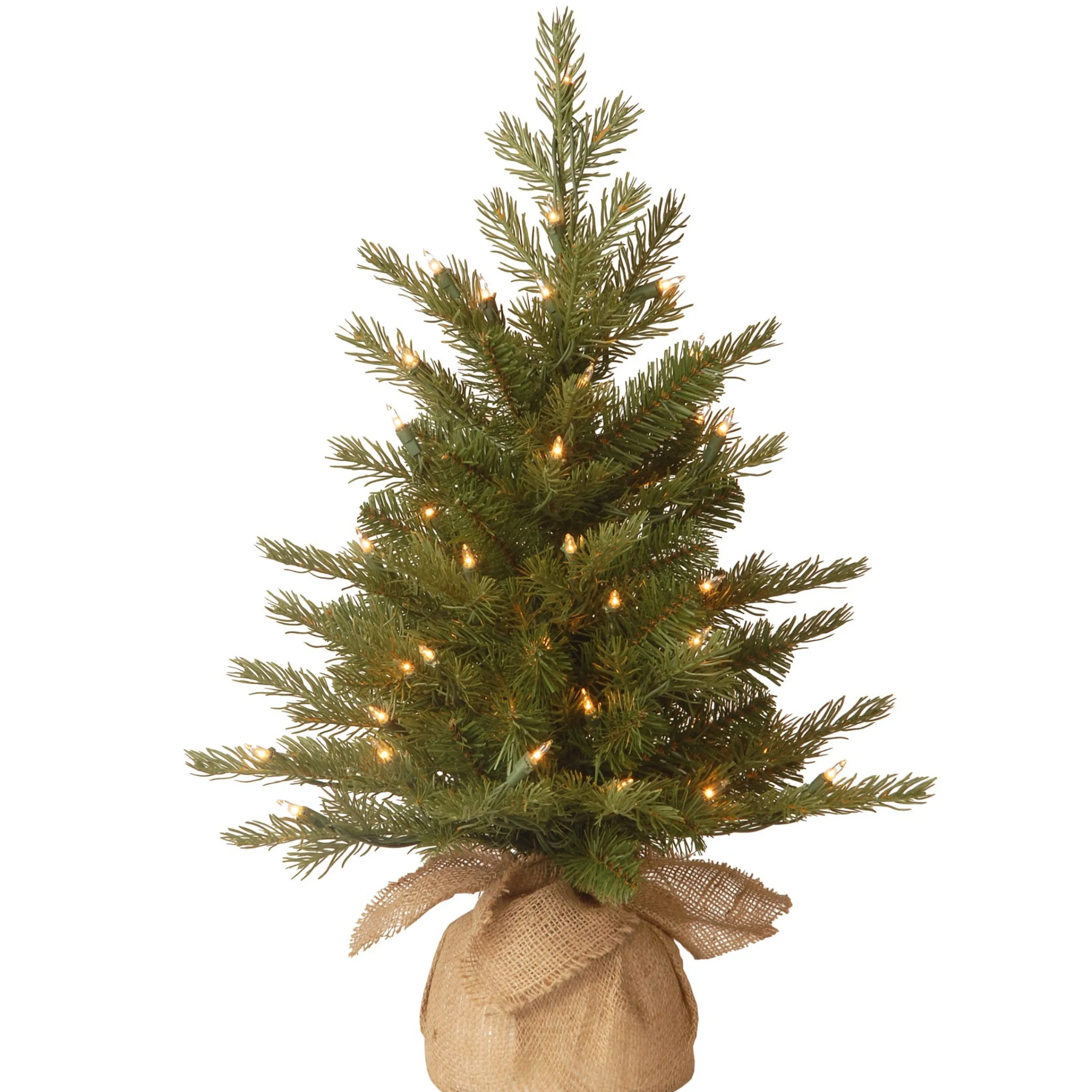 National Tree Company Potted Trees>2' Pre-Lit Potted Nordic Spruce Full Artificial Christmas Tree, White Lights