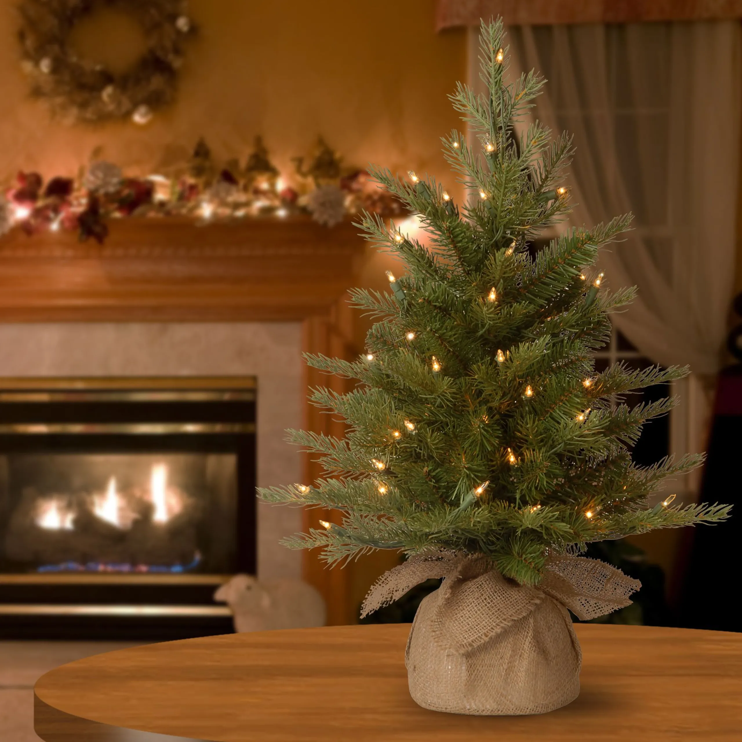 National Tree Company Potted Trees>2' Pre-Lit Potted Nordic Spruce Full Artificial Christmas Tree, White Lights