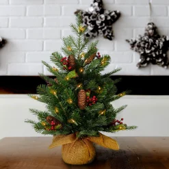 National Tree Company Potted Trees>2' Pre-Lit Potted Nordic Spruce Artificial Christmas Tree, Warm White Led Lights
