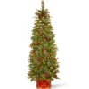 National Tree Company Potted Trees>6' Pre-Lit Potted Pencil Colonial Fir Artificial Christmas Half Wall Tree, Clear Lights