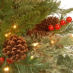 National Tree Company Potted Trees></noscript>6' Pre-Lit Potted Pencil Colonial Fir Artificial Christmas Half Wall Tree, Clear Lights