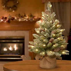 National Tree Company 2.5 Feet Tall And Smaller>2' Pre-Lit Potted Snowy Concolor Fir Artificial Christmas Tree, White Led Lights