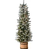 National Tree Company Potted Trees>6' Pre-Lit Potted Snowy Sheffield Spruce Slim Artificial Christmas Tree, Clear Lights