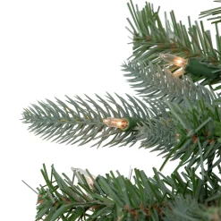 Northlight 10 To 14 Feet Tall></noscript>10' Pre-Lit Slim Granville Fraser Fir Artificial Christmas Tree, Clear Lights