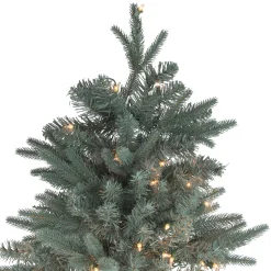 Northlight 10 To 14 Feet Tall></noscript>10' Pre-Lit Slim Washington Fraser Fir Artificial Christmas Tree - Clear Lights