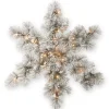 Frosted, Flocked, Iced Wreaths*National Tree Company 32" Pre-Lit Snowy Bristle Pine Snowflake, Warm White Led Lights