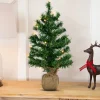 Northlight 2.5 Feet Tall And Smaller>18" Pre-Lit Two-Tone Green Pine Artificial Christmas Tree In Burlap, Clear Led Lights
