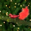 Northlight Animals>5.5" Red Bird With Feather Tail Glass Clip On Christmas Ornament
