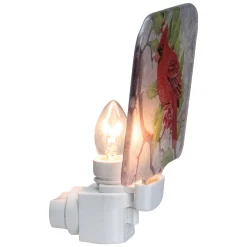 Northlight 4