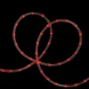 Northlight 150' Red Commercial Grade Led Outdoor Christmas Rope Lights