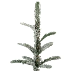Northlight 9 And 9.5 Feet Tall></noscript>9' Slim Flocked Nordmann Fir Artificial Christmas Tree - Unlit