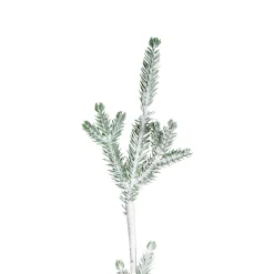 Northlight 5 And 5.5 Feet Tall></noscript>5' Snow Covered Slim Pine Artificial Christmas Tree With Jute Base– Unlit