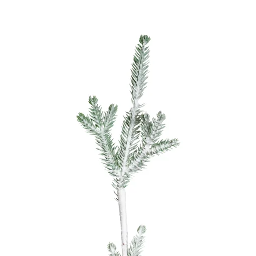 Northlight 5 And 5.5 Feet Tall>5' Snow Covered Slim Pine Artificial Christmas Tree With Jute Base– Unlit