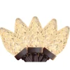 Northlight 100 Warm White Led Faceted C7 Christmas Lights - 66 Ft Brown Wire