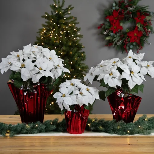 Floral*Northlight 22" White Artificial Christmas Poinsettia With Red Wrapped Pot