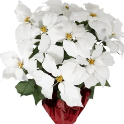 Floral*Northlight 22