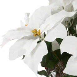 Floral*Northlight 22