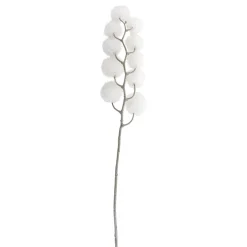 Sprays, Branches & Picks*Northlight 24