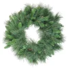 Unlit Wreaths*Northlight 24" White Valley Pine With Pine Cones Artificial Christmas Wreath - Unlit