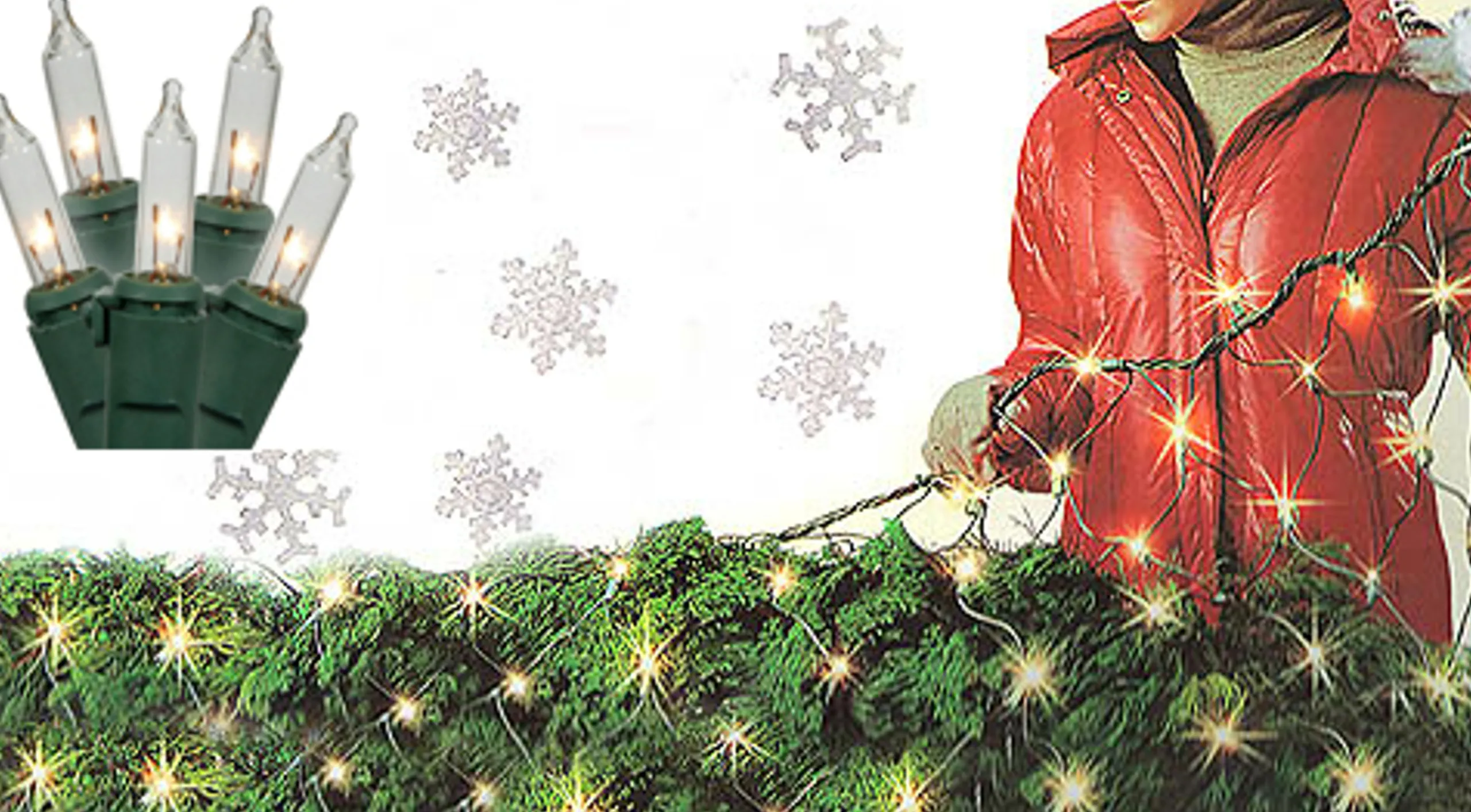 Brite Star 4' X 6' Clear Twinkling Net Style Christmas Lights, Green Wire