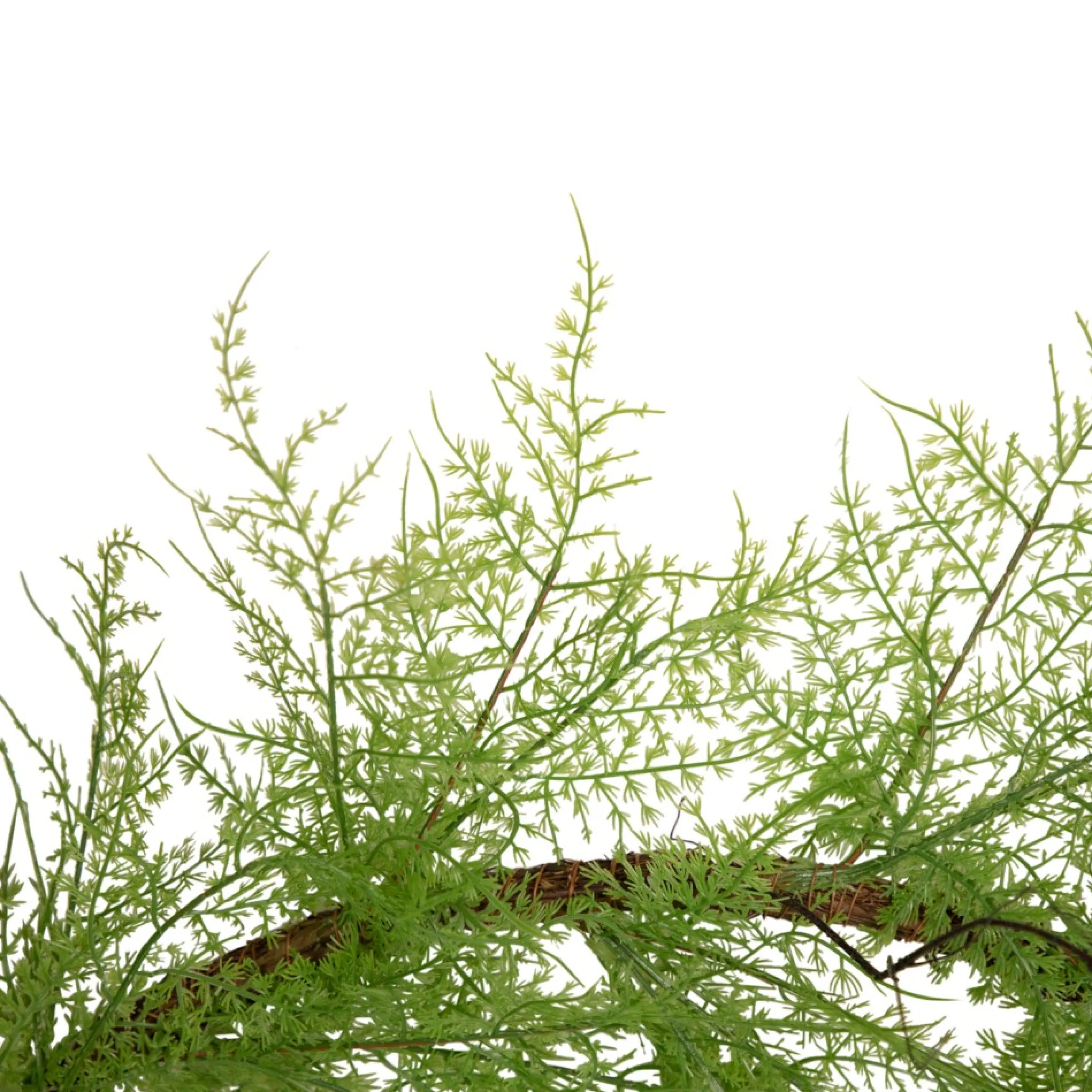 Unlit Garland*Northlight 5' X 8" Green And Brown Cedar Artificial Christmas Garland - Unlit