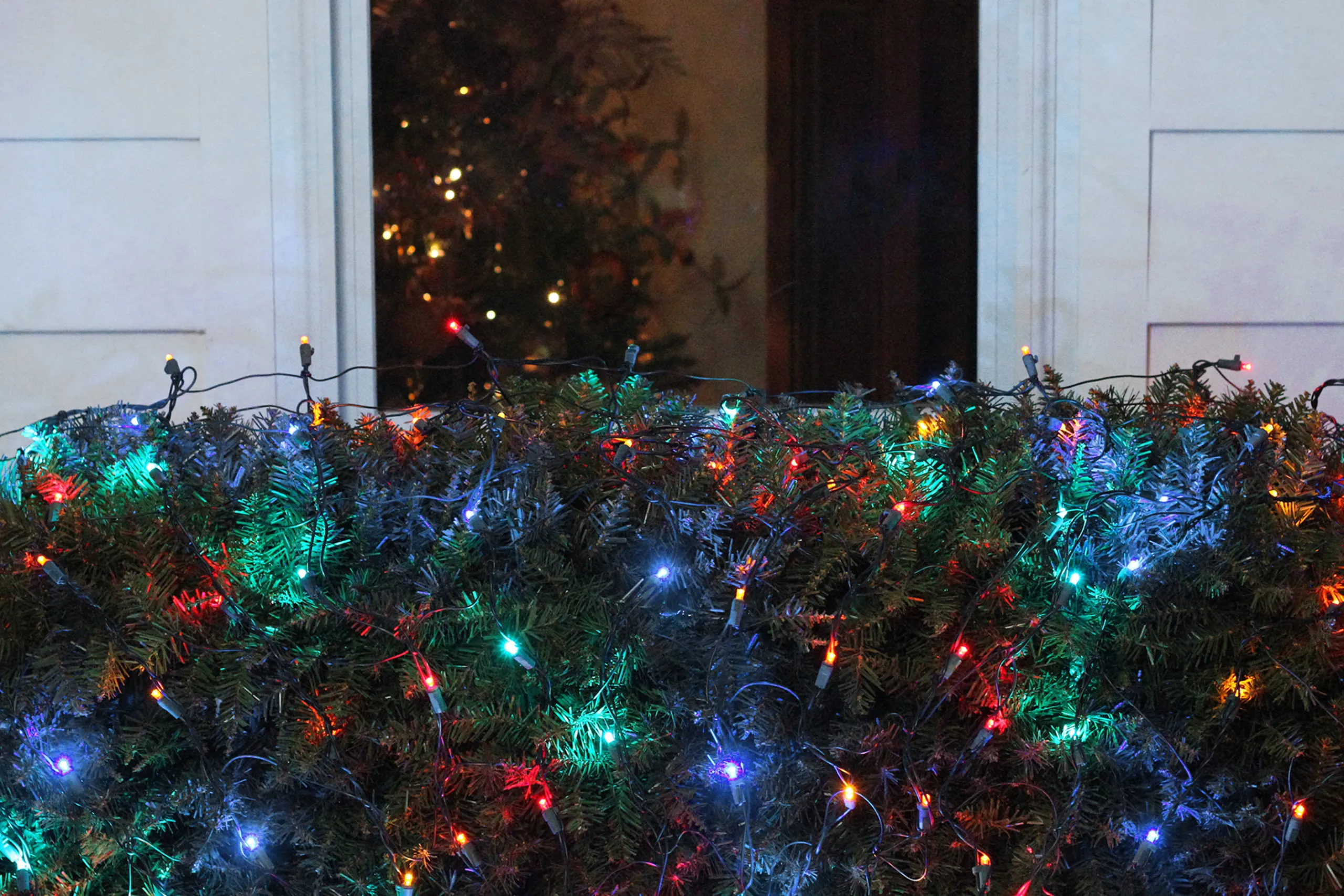 Northlight 4' X 6' Multi-Color Led Wide Angle Net Style Christmas Lights, Green Wire